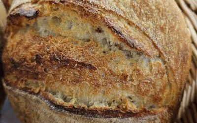Rocky Valley Bakery